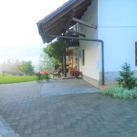 Apartma Biofit Bled Habitación foto